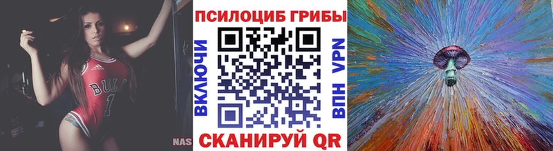 Купить закладки Колпашево Псилоцибиновые грибы Cubensis